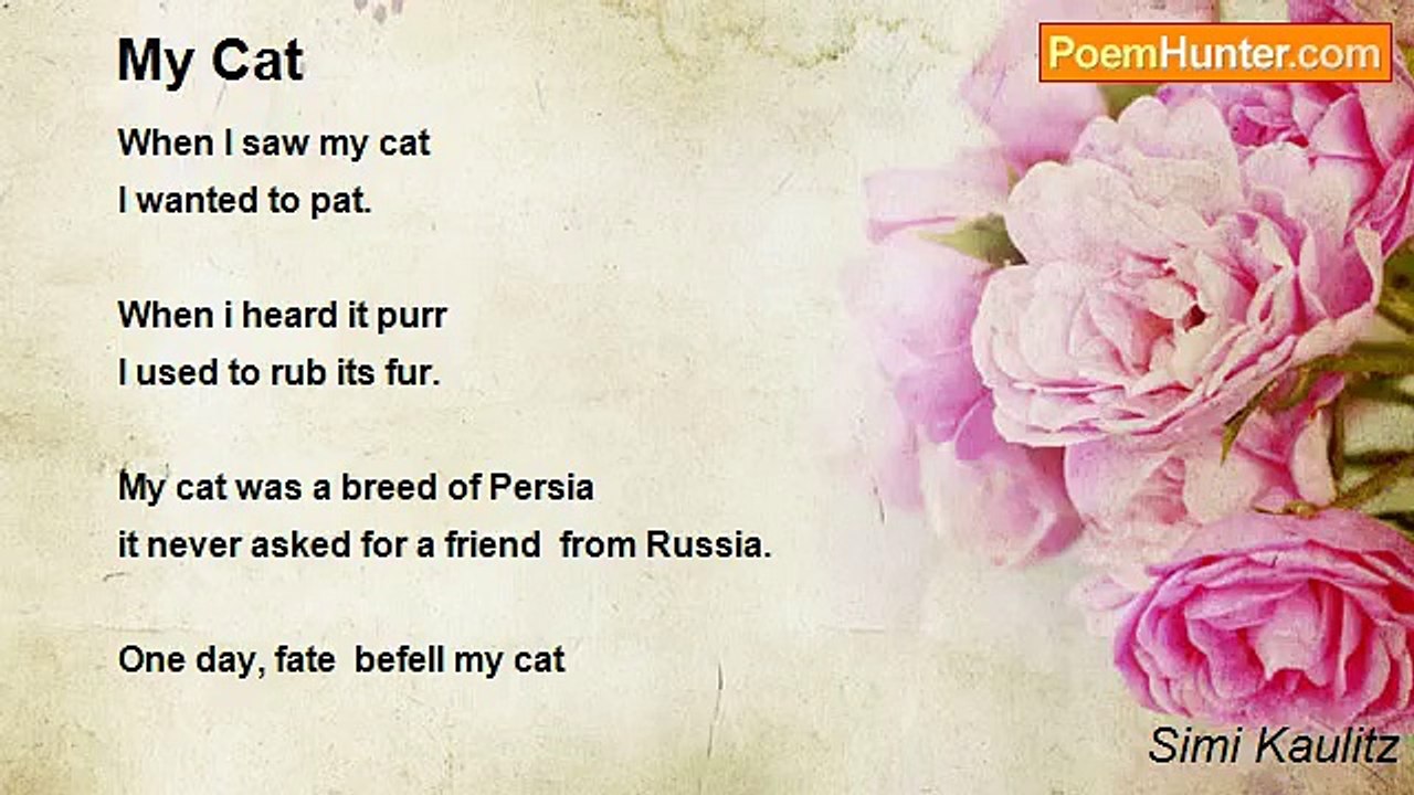 Simi Kaulitz - My Cat
