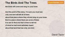David Taylor - The Birds And The Trees