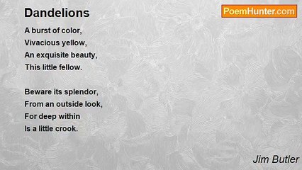 Jim Butler - Dandelions