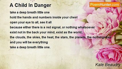 Kale Beaudry - A Child In Danger
