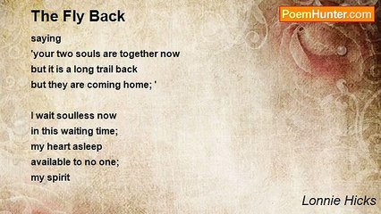Lonnie Hicks - The Fly Back