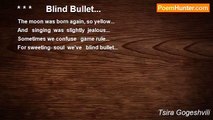 Tsira Gogeshvili - * * *      Blind Bullet...