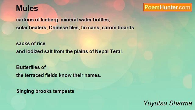 Yuyutsu Sharma - Mules