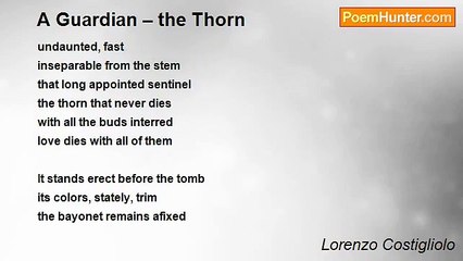 Lorenzo Costigliolo - A Guardian – the Thorn