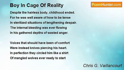 Chris G. Vaillancourt - Boy In Cage Of Reality