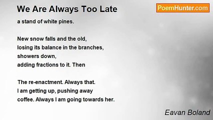 Eavan Boland - We Are Always Too Late