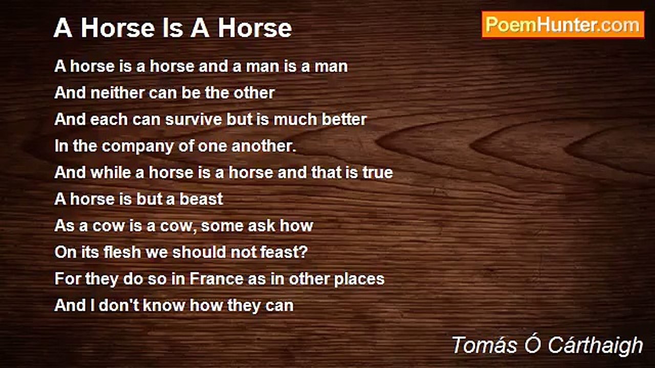 Tomás Ó Cárthaigh - A Horse Is A Horse