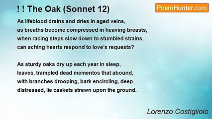 Lorenzo Costigliolo - ! ! The Oak (Sonnet 12)
