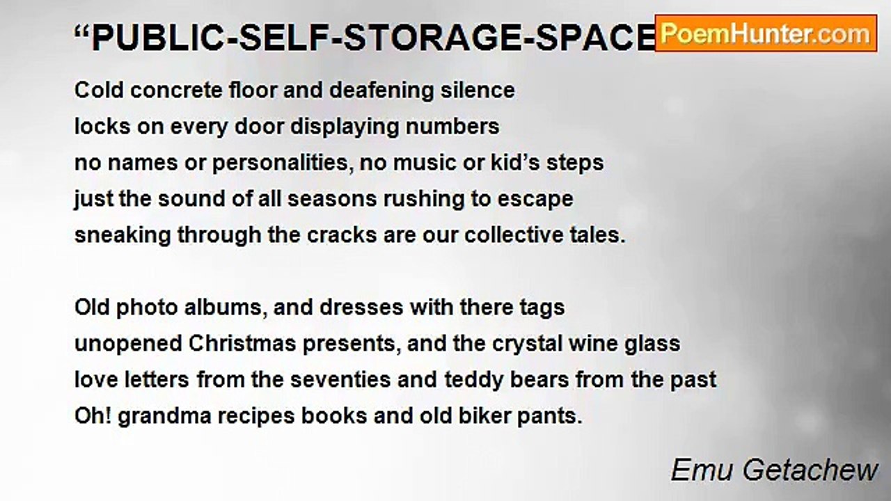 Emu Getachew - “PUBLIC-SELF-STORAGE-SPACE'