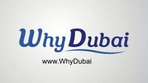 Лучшие инвестиции в недвижимость – вложения в Дубай