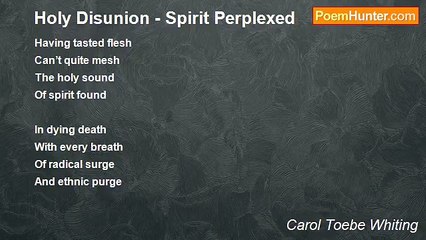 Carol Toebe Whiting - Holy Disunion - Spirit Perplexed