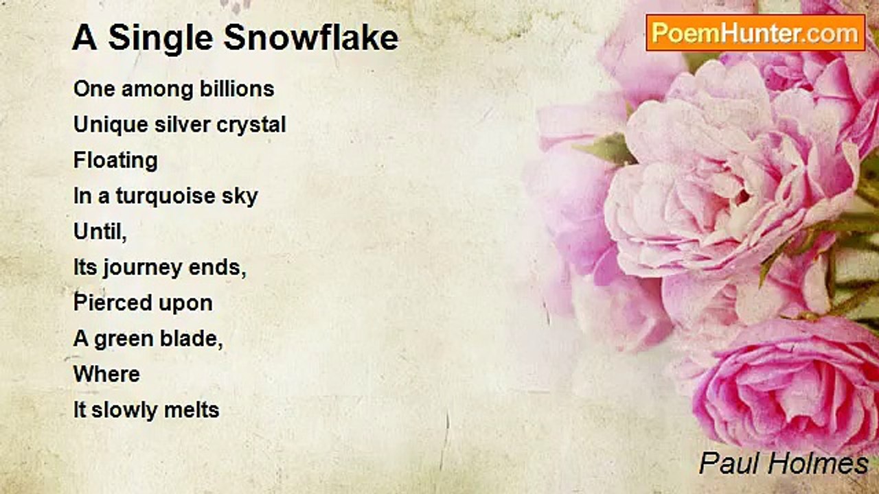 Paul Holmes - A Single Snowflake