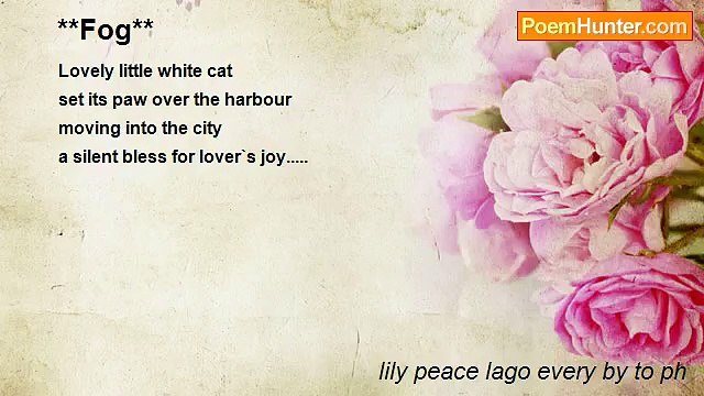 lily peace lago every by to ph - **Fog**