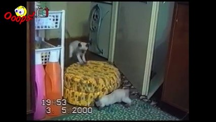 [+18 ~ Sexy Funny Girl]Pranks - Gags - Win - Fail.104