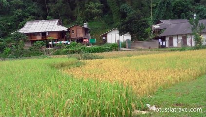 Download Video: Vietnam Terraced Rice Paddy Fields, Yen Bai, Mu Cang Chai, Northwest Vietnamt