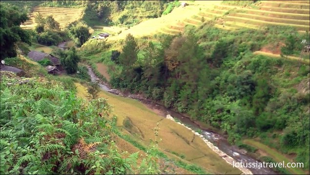 vietnam terraced rice fields, vietnam rice paddy fields, mu cang chai, yen bai