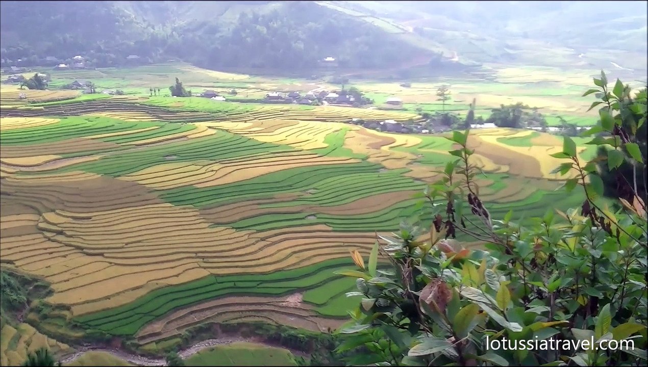 Vietnam terraced rice fields, Vietnam rice paddies pictures, Yen Bai, Northwest Vietnam
