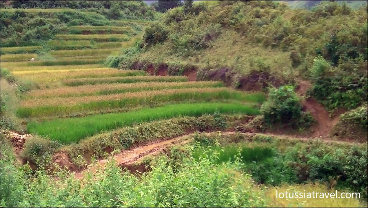 Hiking Vietnam tour, Vietnam hiking trails, Yen Bai, Tu Le, Northwest Vietnam