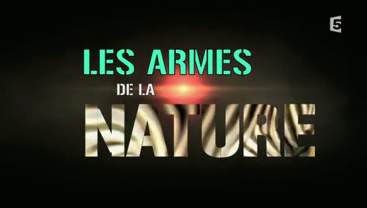 Les Armes De La Nature - Episode 3 - Les Maitres Du Camouflage