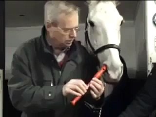 See Horse Plays The Flute With His Nose