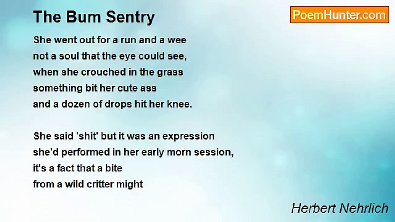 Herbert Nehrlich - The Bum Sentry