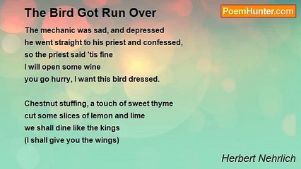 Herbert Nehrlich - The Bird Got Run Over