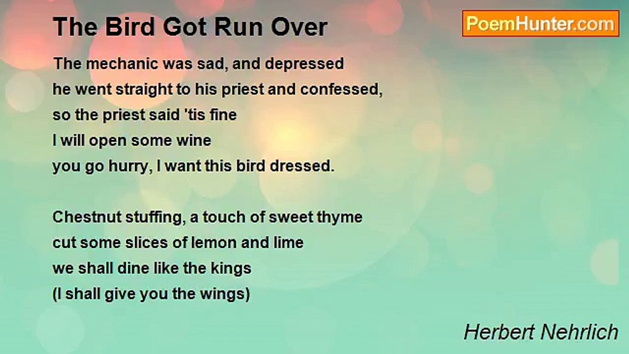 Herbert Nehrlich - The Bird Got Run Over