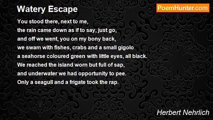 Herbert Nehrlich - Watery Escape