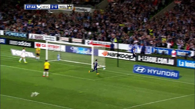 Sceny jak z Hitchcocka podczas meczu w Australii