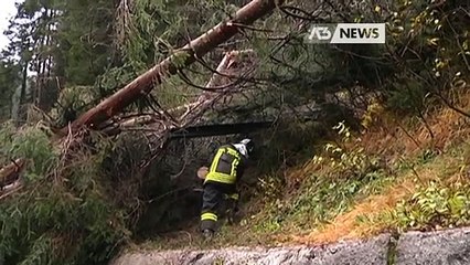 IL COMELICO OSTAGGIO DELLE FRANE