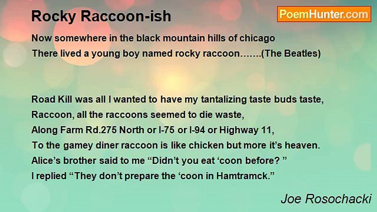 Joe Rosochacki - Rocky Raccoon-ish