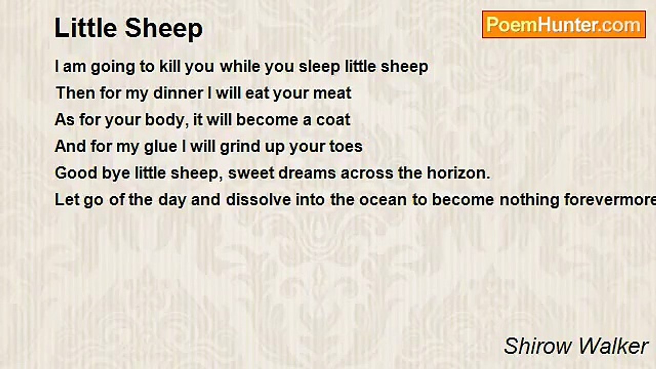 Shirow Walker - Little Sheep