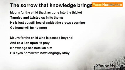 Shirow Walker - The sorrow that knowledge brings