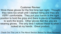 Fox Racing Pawtector Gloves - Large/Blue/White Review