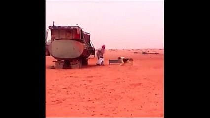 Tuvaletini Yaparken Köpek Saldırdı