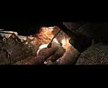 Download olympic organizer deluxe v.4.0 crack 100% working