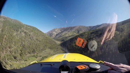 atterrissage d'un avion dans une forêt
