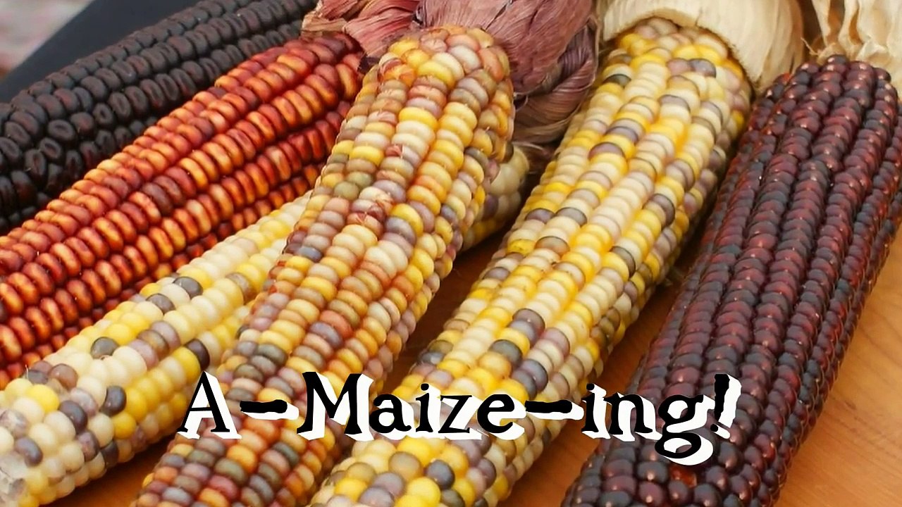 Aspects of Archaeology  LiDar