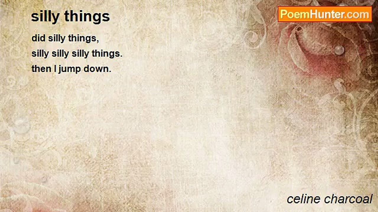 celine charcoal - silly things