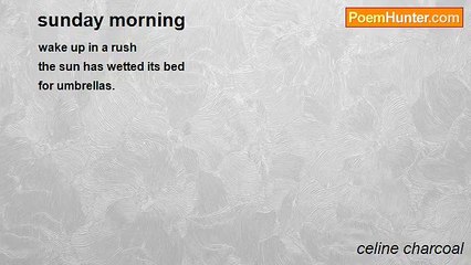 celine charcoal - sunday morning