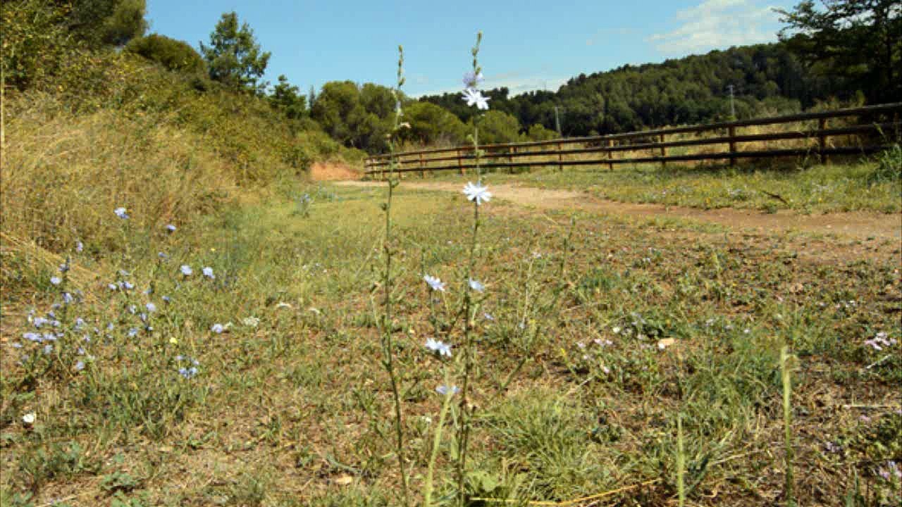 AuthorMusic - Music and Video #5