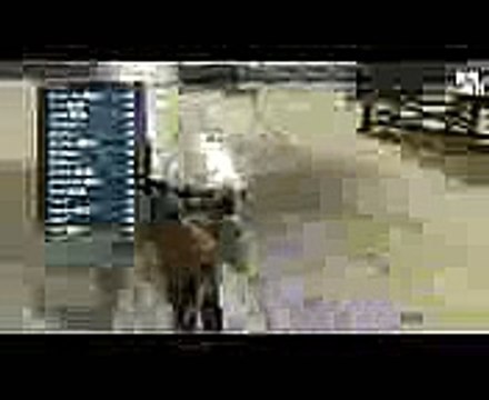 Download join multiple mkv files into one software v.7.0 crack elite edition