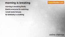 celine charcoal - morning is breaking