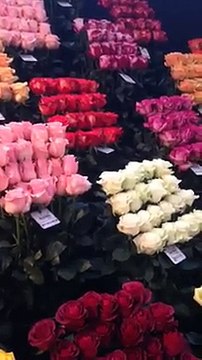 Doğum günü çiçek siparişi