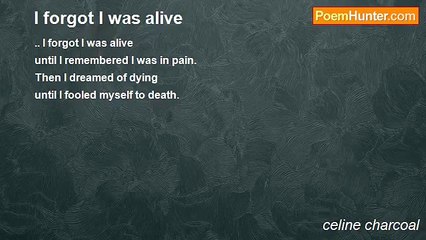 celine charcoal - I forgot I was alive