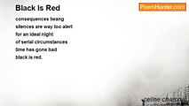 celine charcoal - Black Is Red