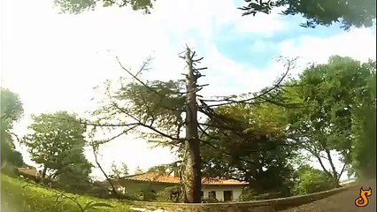 Acemi oduncu ölümden döndü