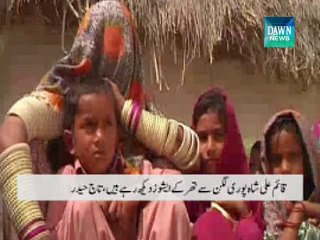 Bilawal withdraws show-cause notices to Shah, Wasan