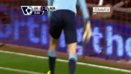 Luis Suárez 40 Yard Amazing Volley Goal vs Norwich City  04122013 ᴴᴰ (HD)