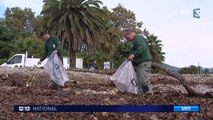 Intempéries dans le Sud-Est : le difficile nettoyage des plages